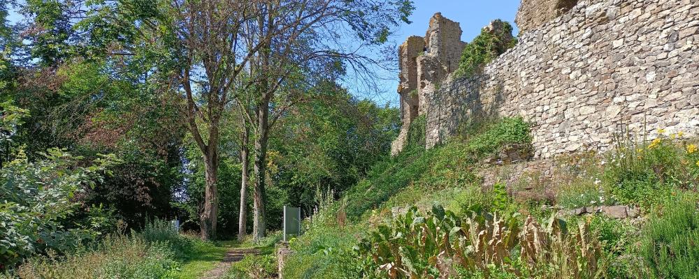 Brohltal - Castle and Community